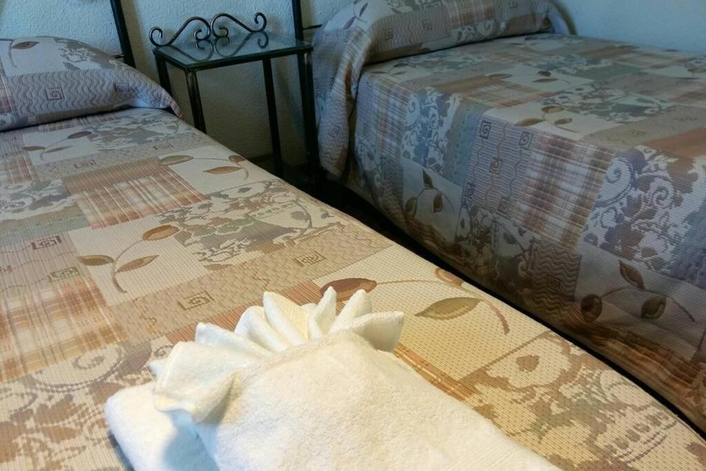 코르도바 Apartamento Al-Zhara, Junto Puente Romano 아파트 외부 사진